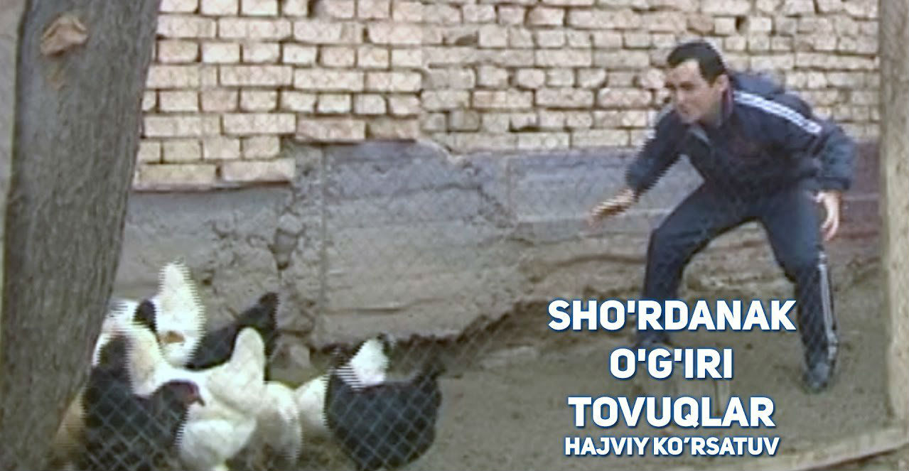 Sho'rdanak - O'gri tovuqlar (2017)