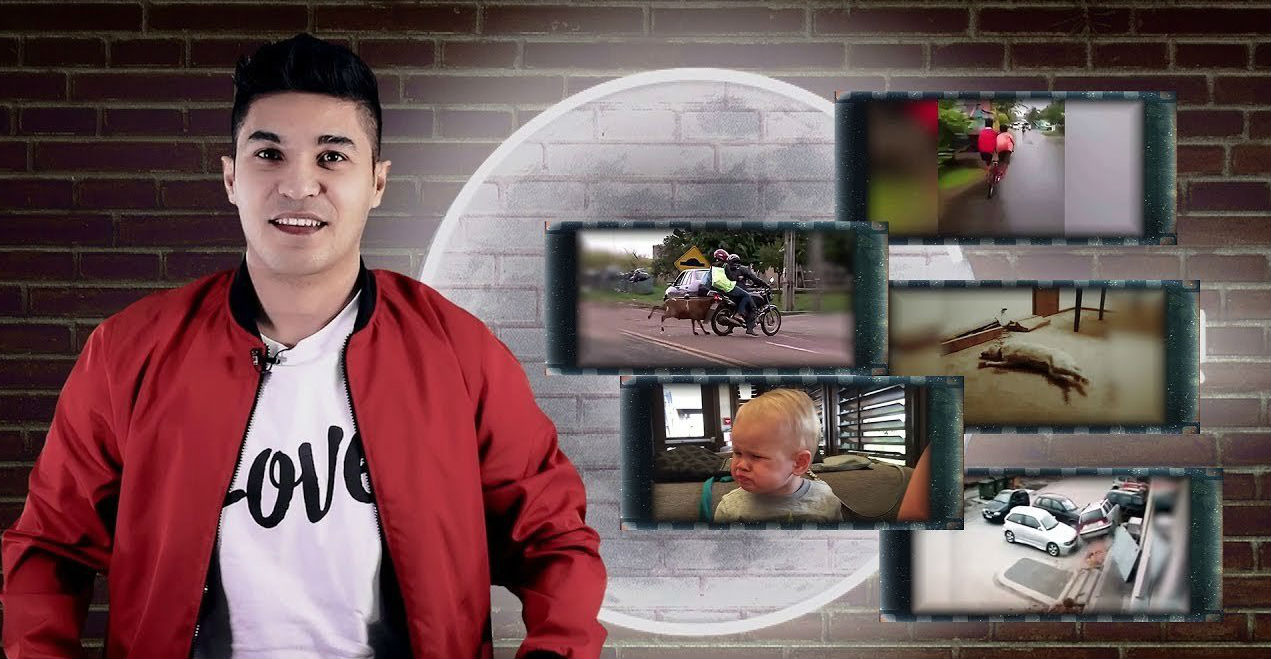 Yangisidan bormi - Buqalashma qo'y (2017)