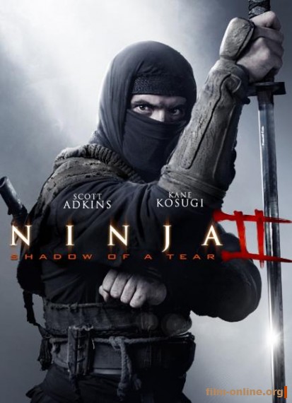 Ниндзя 2 / Ninja: Shadow of a Tear (2013)